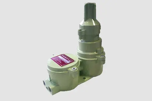 Flameproof switch plug socket with interlocked switch