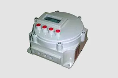 Flameproof weighing machine control panel with display window